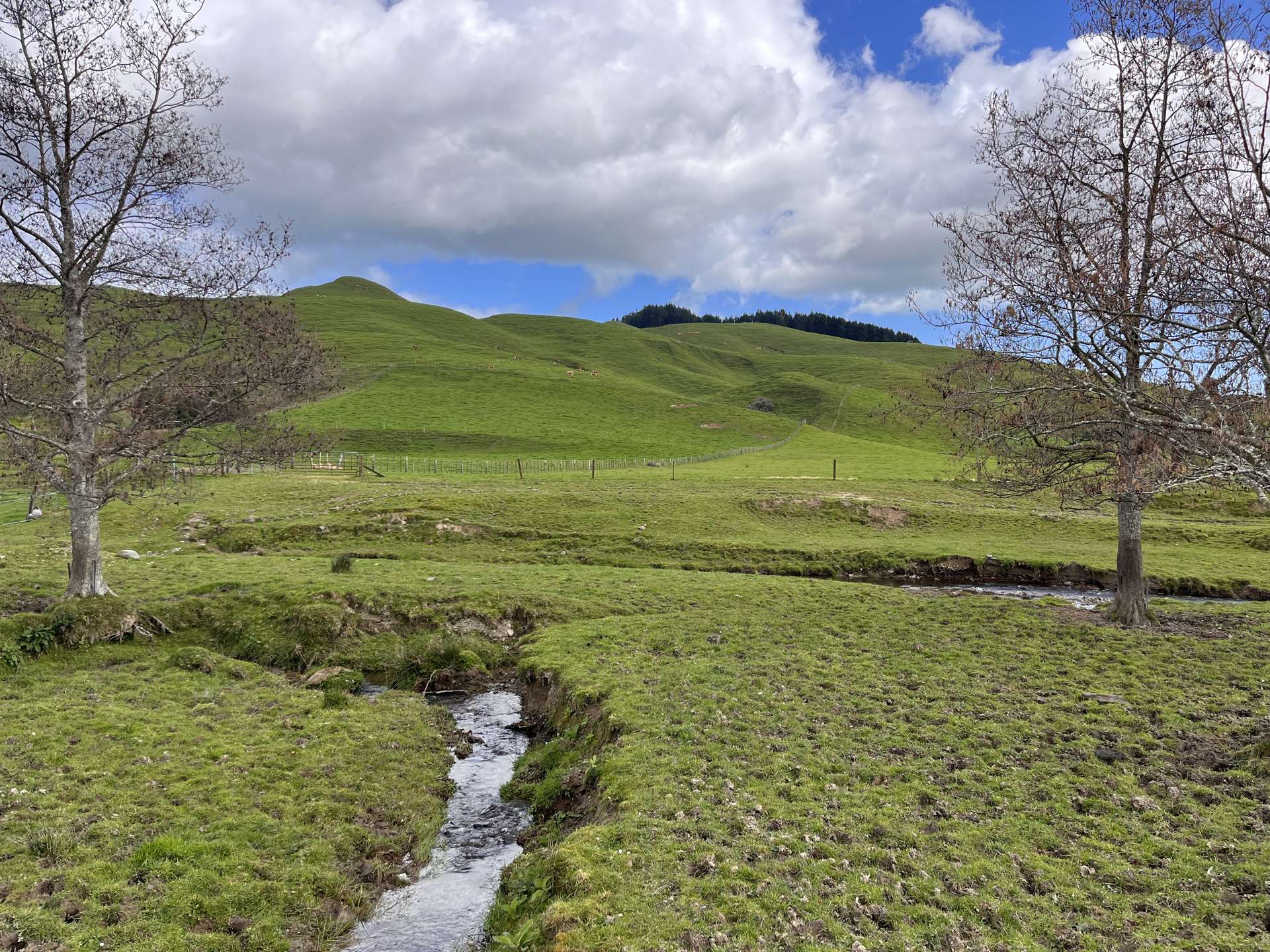 675 Waitohu Valley Road Otaki_0