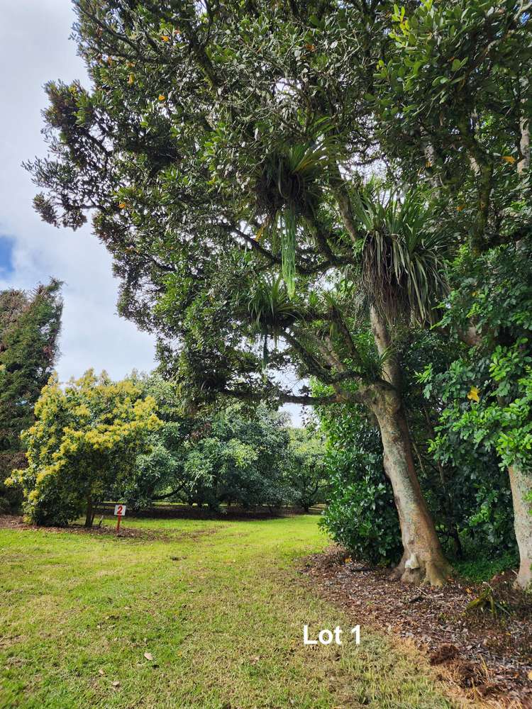 493 Mangakahia Road Maungatapere_9