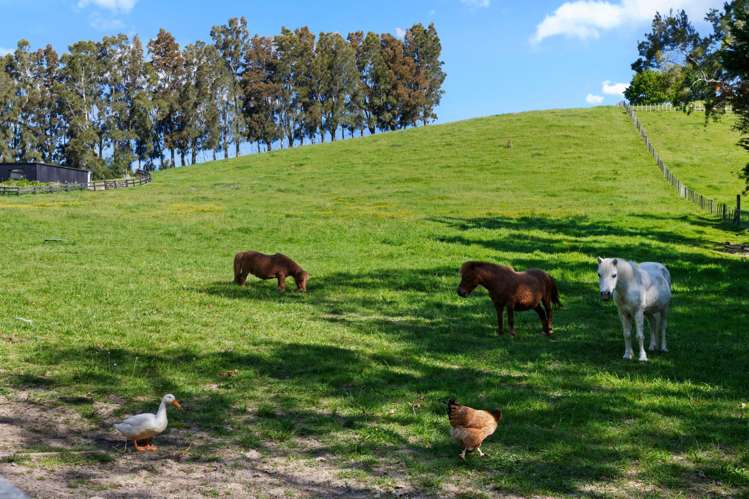 243 Clevedon-Kawakawa Road Clevedon_1