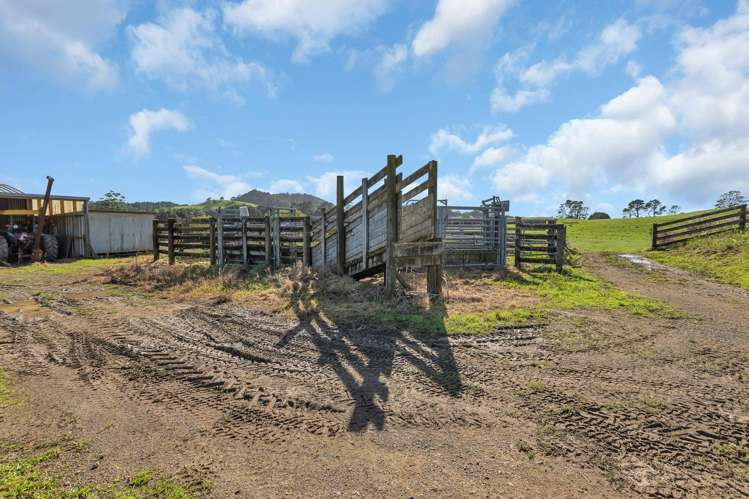 Lot 2 Adams Road Glenbervie_7