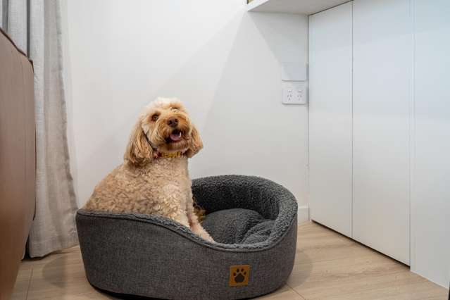 1/24 Bayview Road Bayview_3