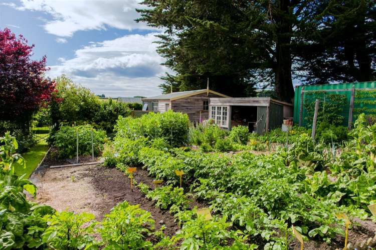 56 Burgess Road Herbert_21