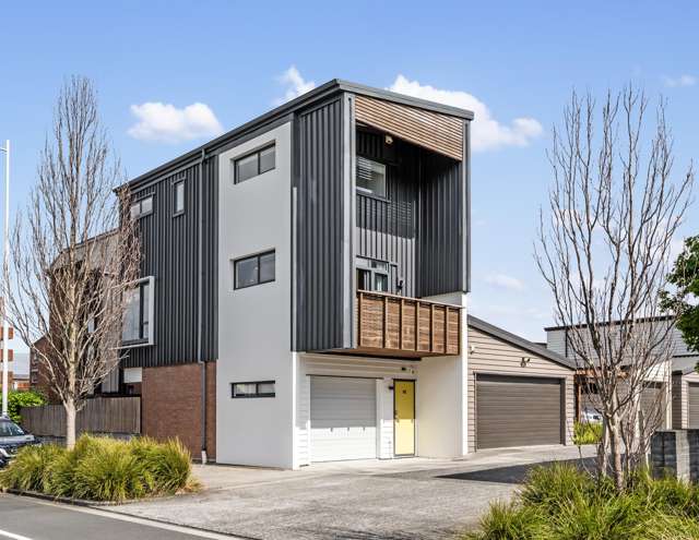 Hobsonville Point trifecta