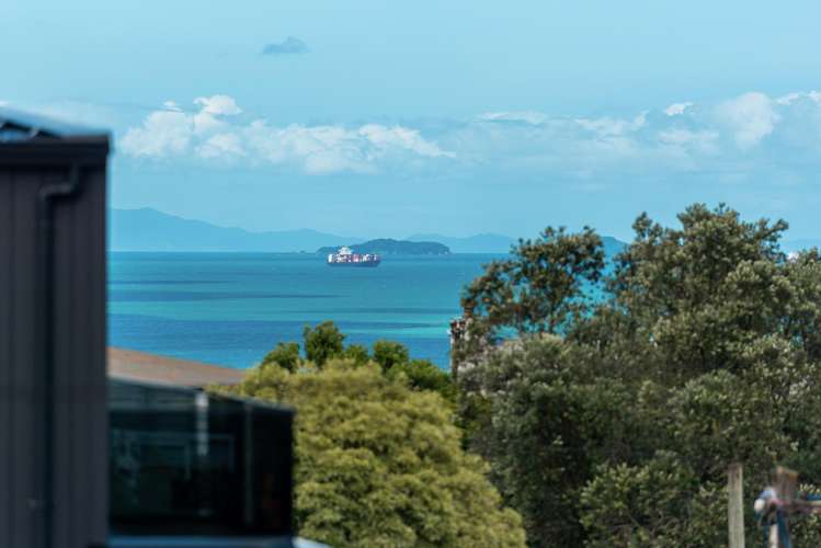 93 Hastings Road Mairangi Bay_7