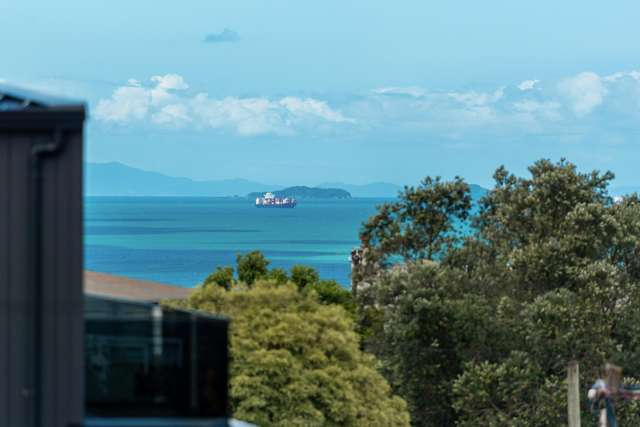 93 Hastings Road Mairangi Bay_3