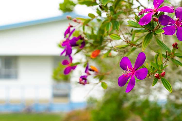 12a Second Avenue Dargaville_16