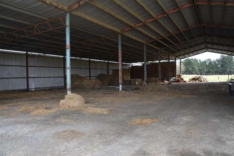 63 Tiverton Downs Road Broadlands_16