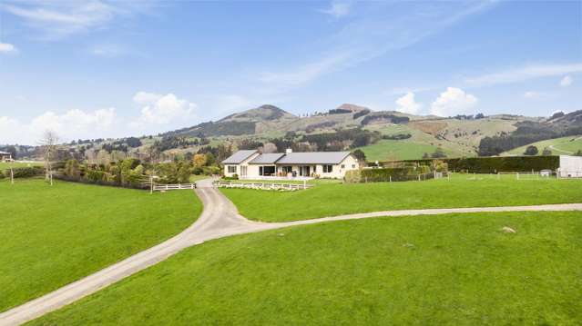 Price reduced! Pure Taieri lifestyle