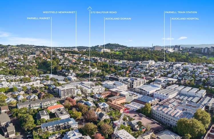 3/12 Balfour Road Parnell_18