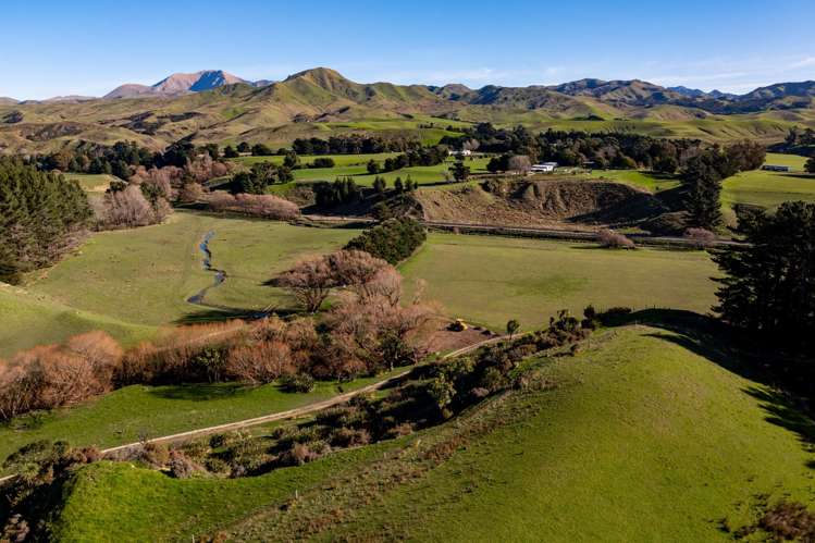 7611 State Highway 1 Ward_17