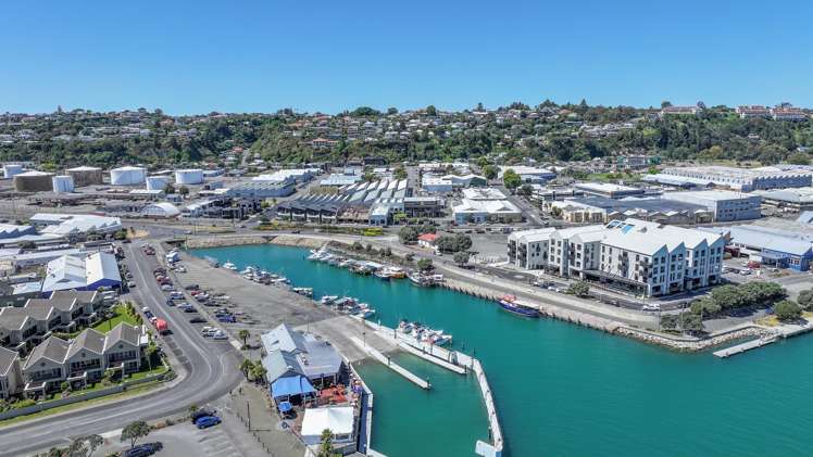 5/3 Mahia Street Ahuriri_18