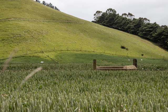 Address withheld Windsor_4