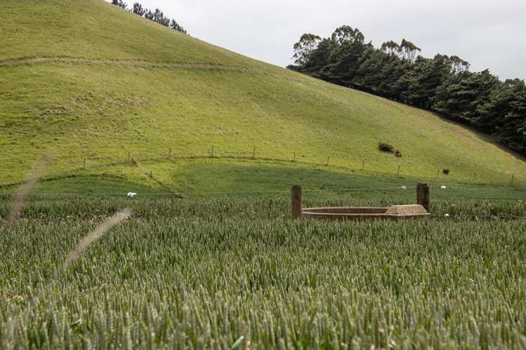 Address withheld Windsor_4