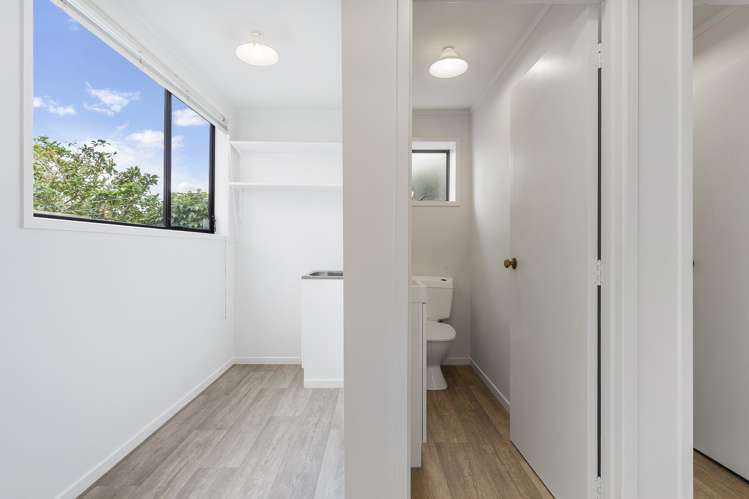 20 Western Springs Road Morningside_14