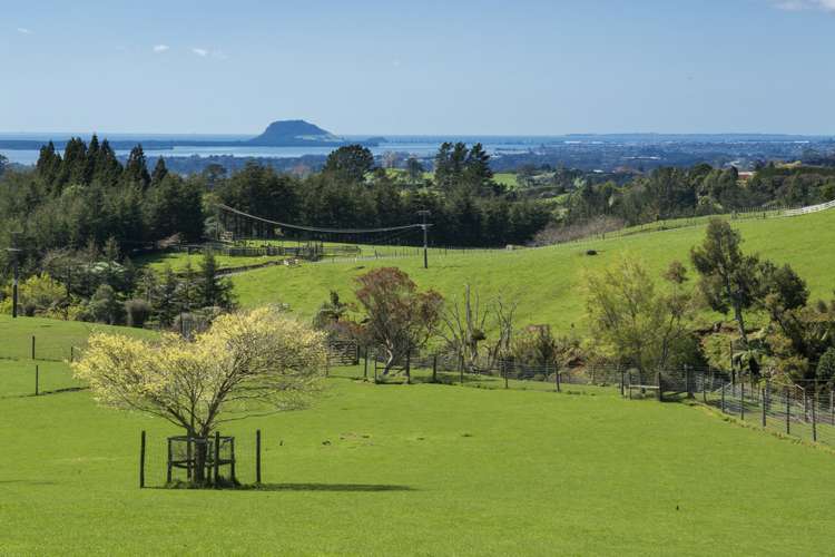 649b Esdaile Road Whakamarama_0