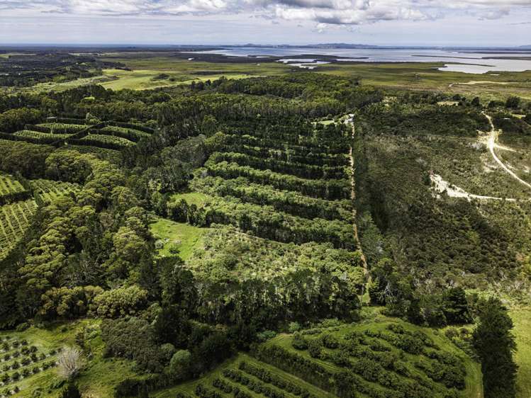 377 Paparore Road Kaitaia_35