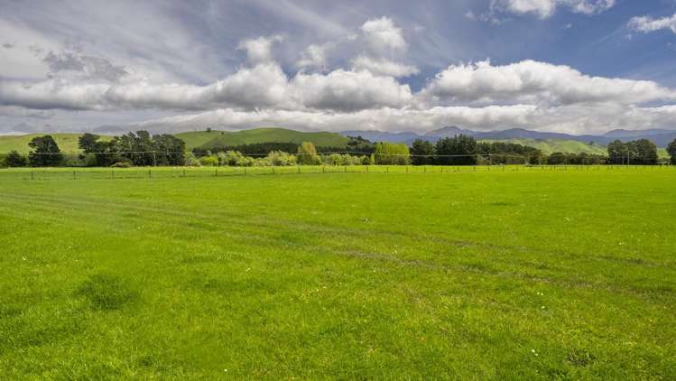 1007 State Highway 2 Masterton_8