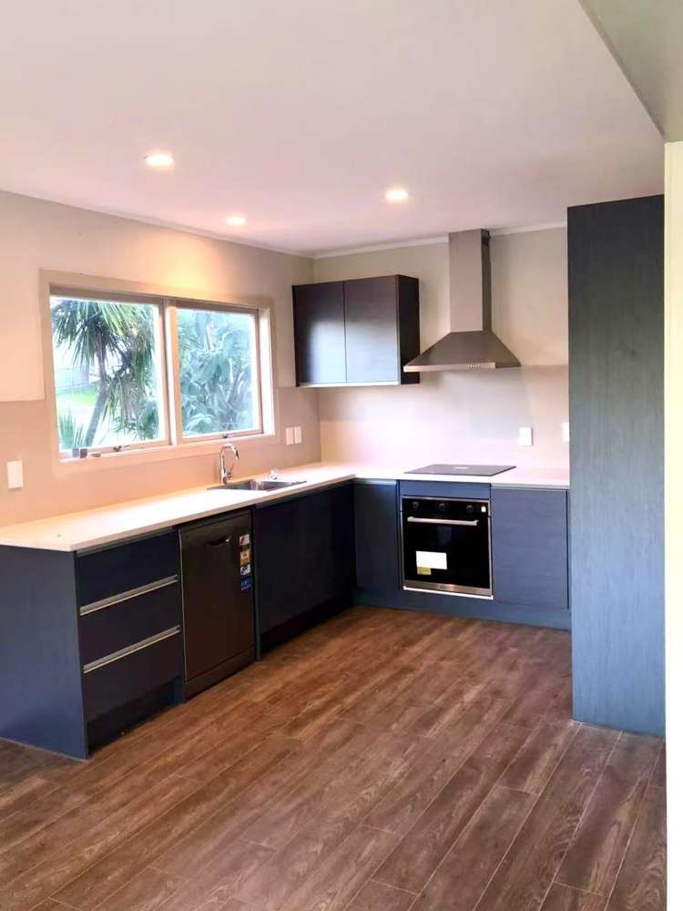 148 Astley Avenue New Lynn_3