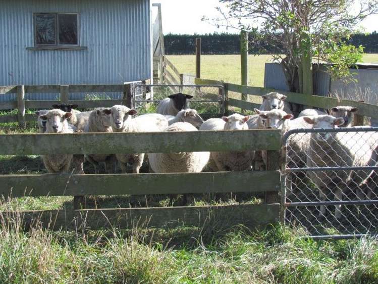 362 Maronan Road Winslow_16