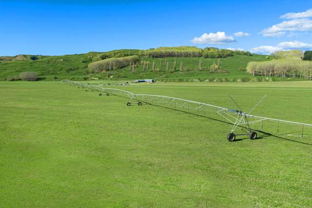 333ha Tukituki River cropping/finishing farm