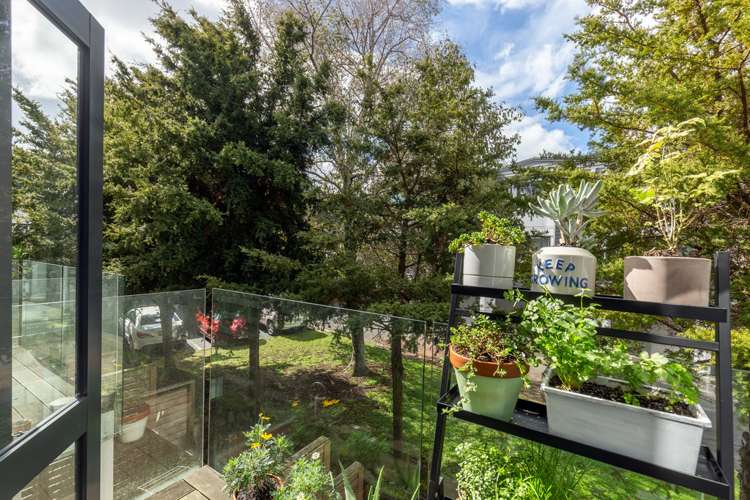 9 Sudbury Terrace Parnell_5