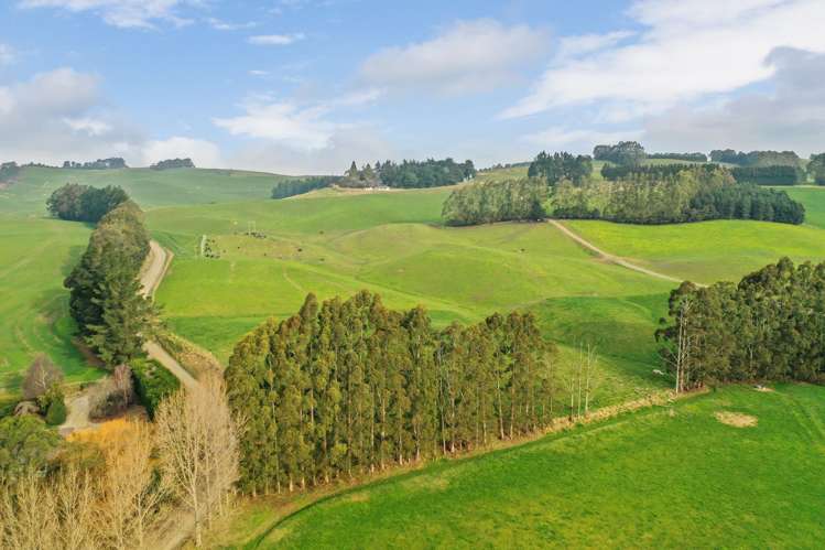 89 Brookstead Road Ngapara_15