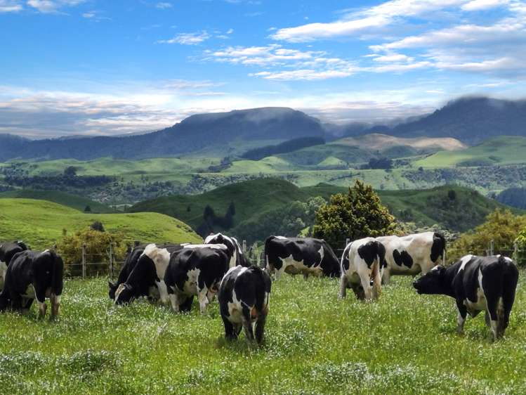 2/230 Clyde Road Burnside_8