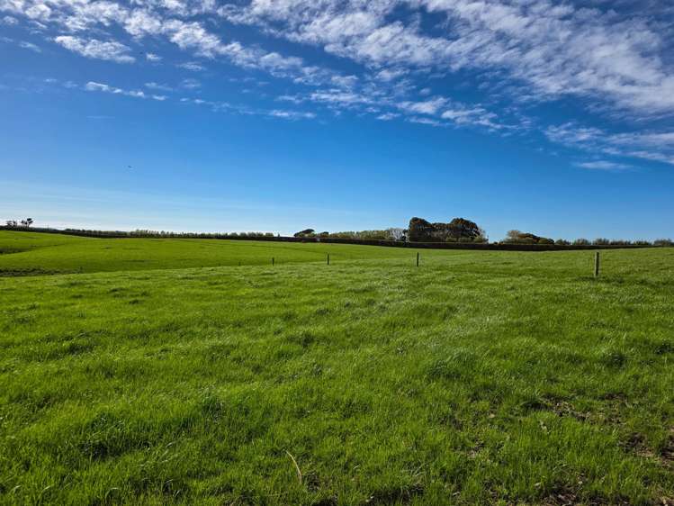 1532 Wyndham Letterbox Road Mataura Island_7