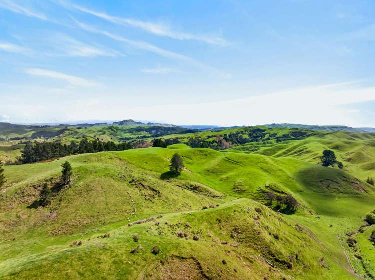 559 Maraetotara Road Maraetotara_27