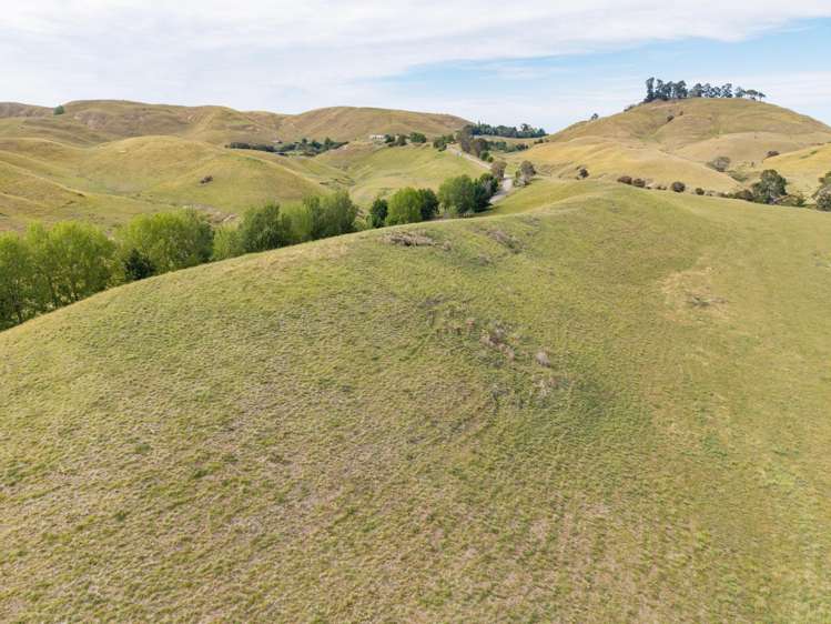 Lot 2, DP 566738, Kawera Road Hastings_22