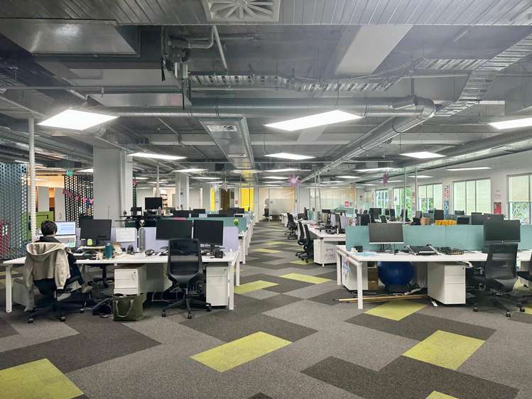 16 Normanby Road Mt Eden_1