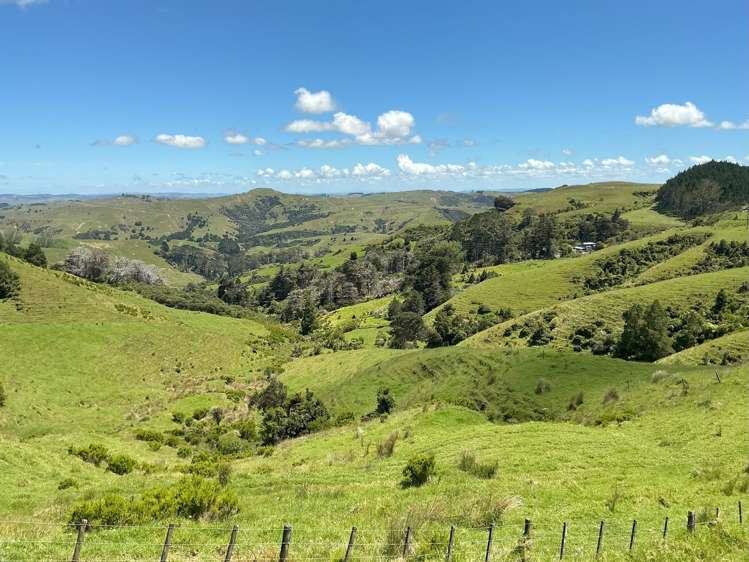 Lot 3 DP539905 Dill Road Kaipara Flats_12