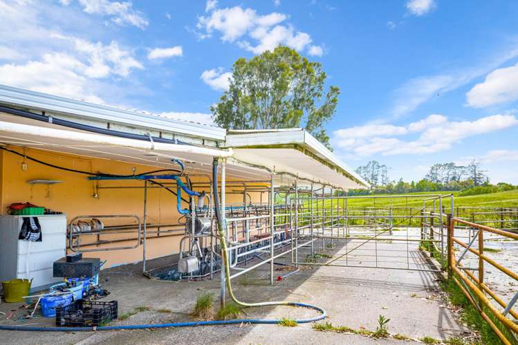 515 Kahikatea Flat Road Waitoki_18