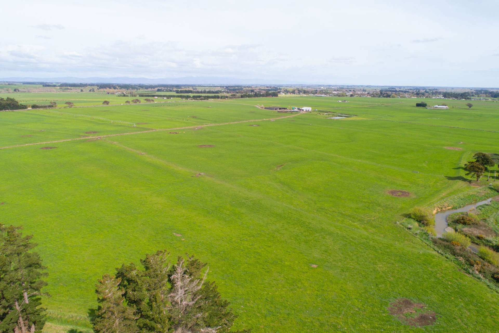 287 State Highway 1 Bulls_0