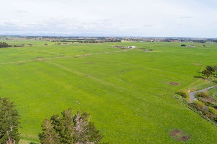 287 State Highway 1 Bulls_0