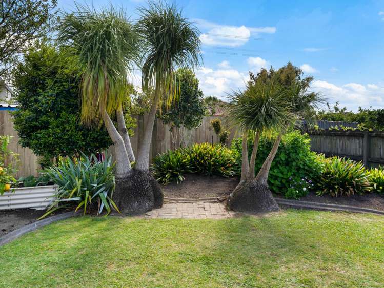 6 Graham Tagg Close Pahurehure_23