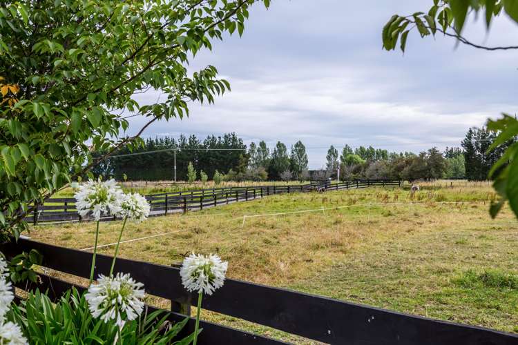 498 Park Road Carterton_22