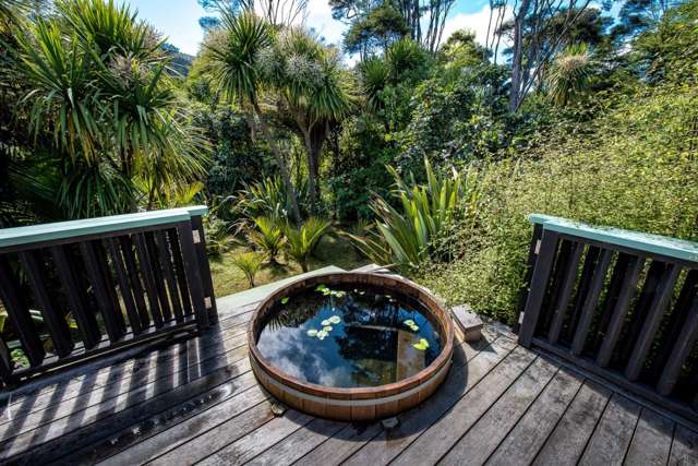 21a Colville Road Coromandel_2