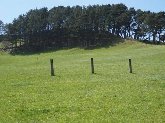 Mount Wesley Coast Road Dargaville_1
