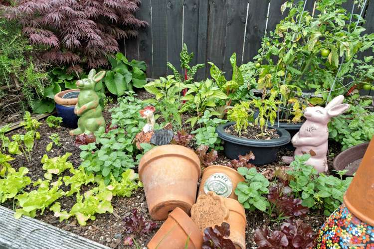 26 Capriana Drive Karaka_17