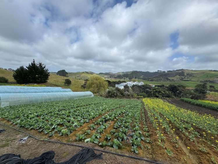 1755 South Head Road South Head_9