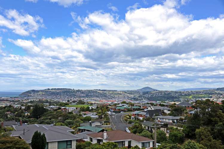 8 Scobie Road Waverley_12