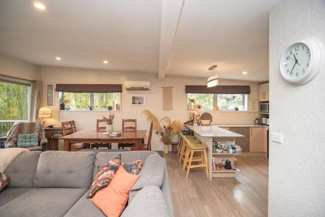 22 Ameer Street Pleasant Point_2