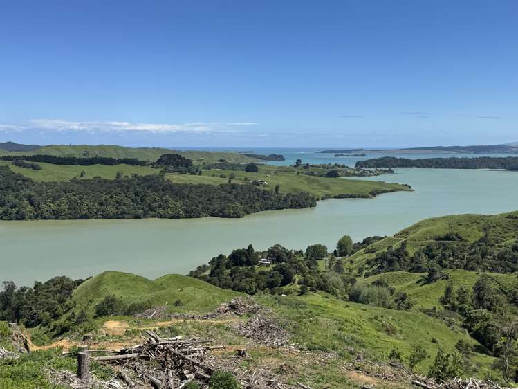 Lot 4 Brown Road Kawhia_10