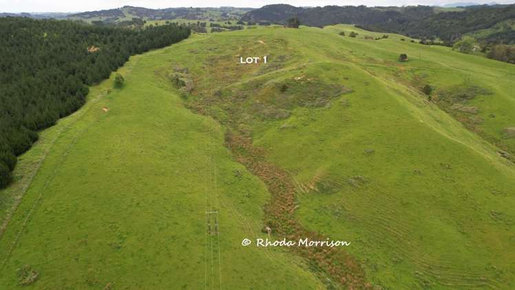 Golden Stairs Rd Maungaturoto_10