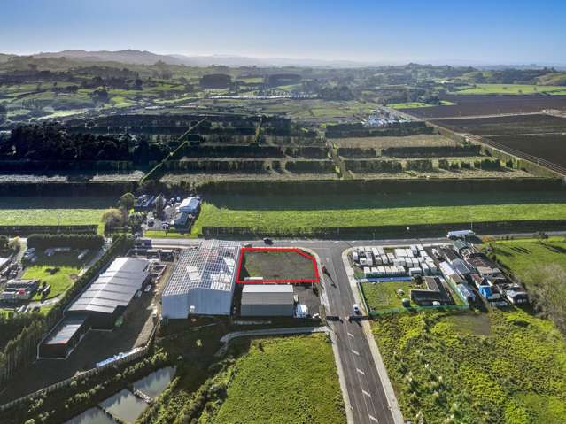2 Allie Drive Tuakau_4