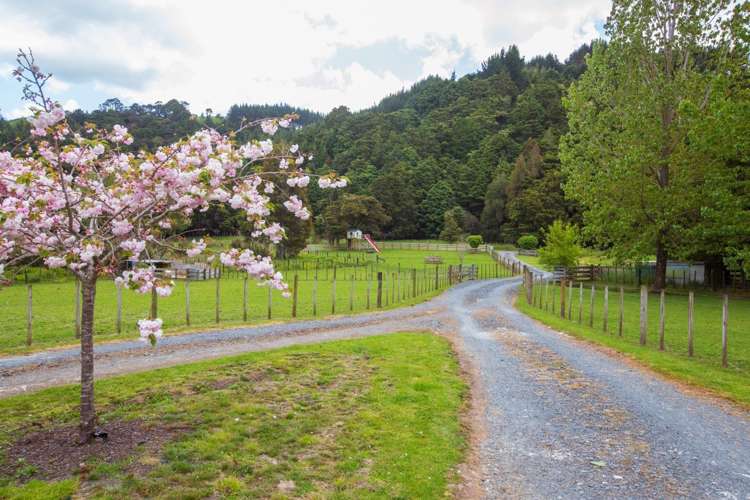 70 Linton Road Kaipara Flats_14