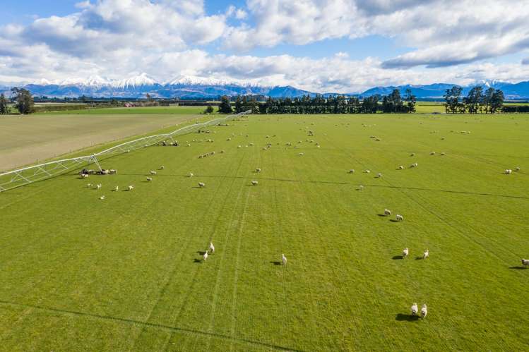 3716 Old West Coast Road Sheffield_1