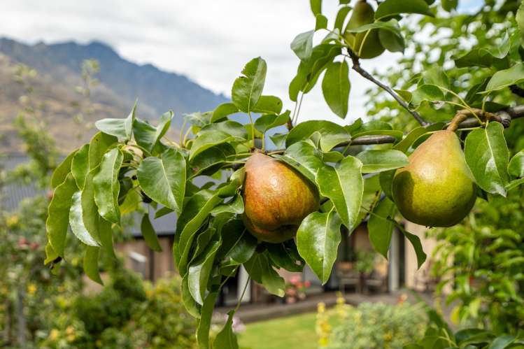 3 Witley Lane Lower Shotover_7