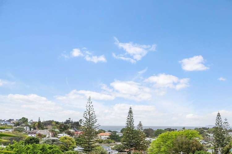 24B Homestead Road Manly_8